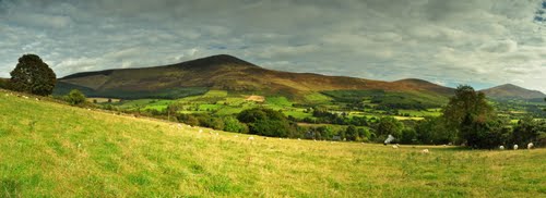 Coolnamara and Mount Leinster